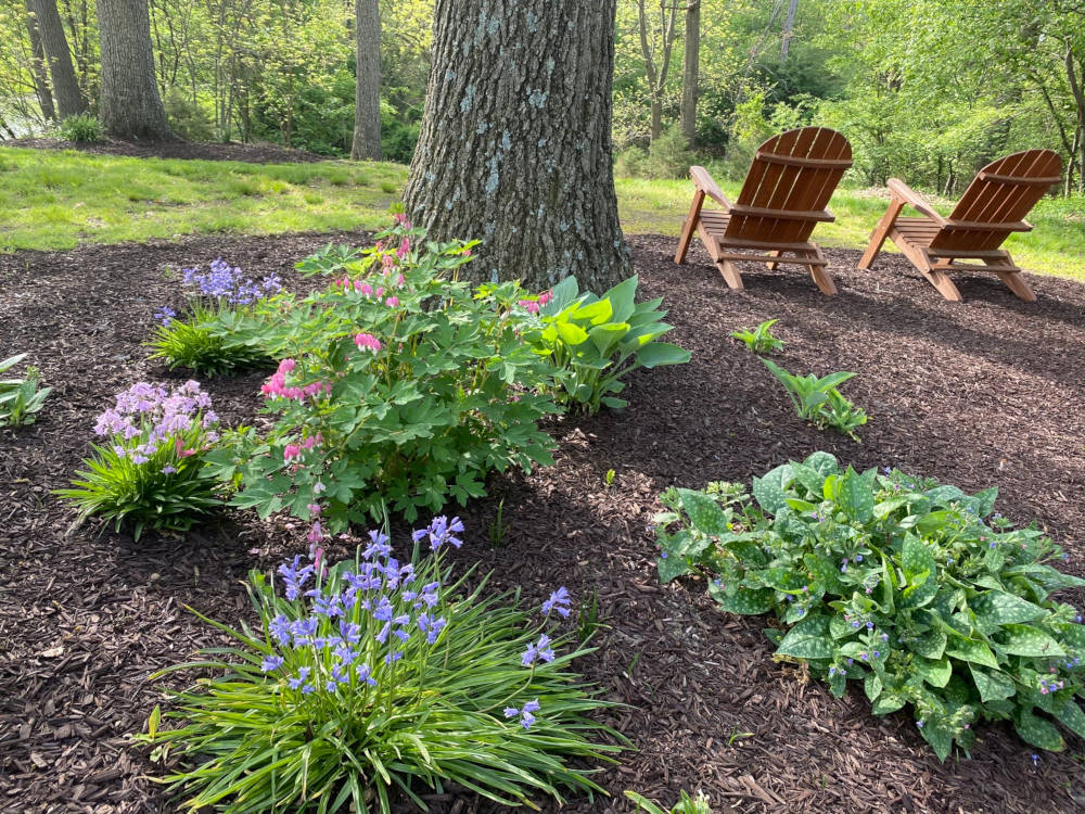 Two adirondack chairs looking off into a peaceful wood.